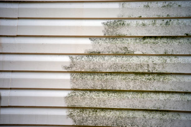 Best Shed Removal  in Yale, MI